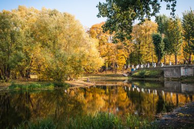 Moskova'da güzel sonbahar park