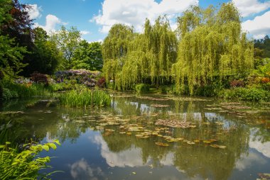 Bahar bahçeleri darbeydi