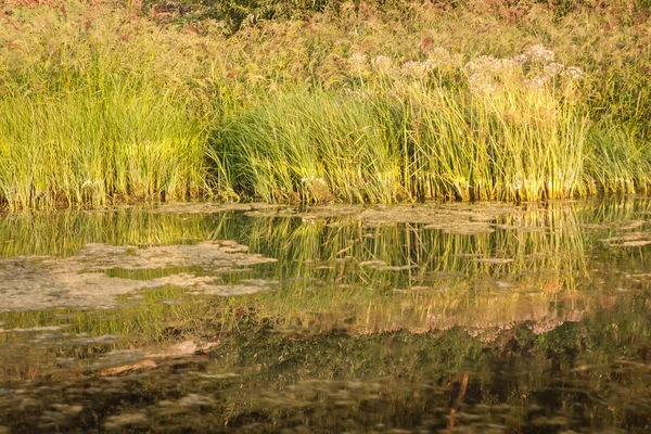 Krajina středního Ruska — Stock fotografie