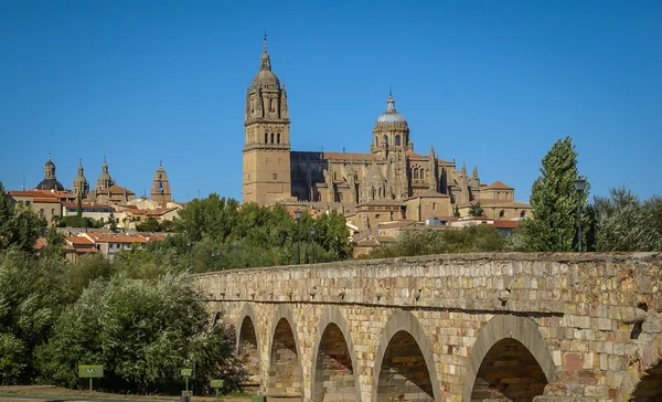 Medieval cathedral in Salamanca — Stock Photo, Image