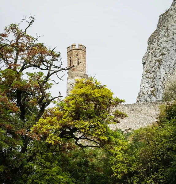 Старый замок Девин — стоковое фото