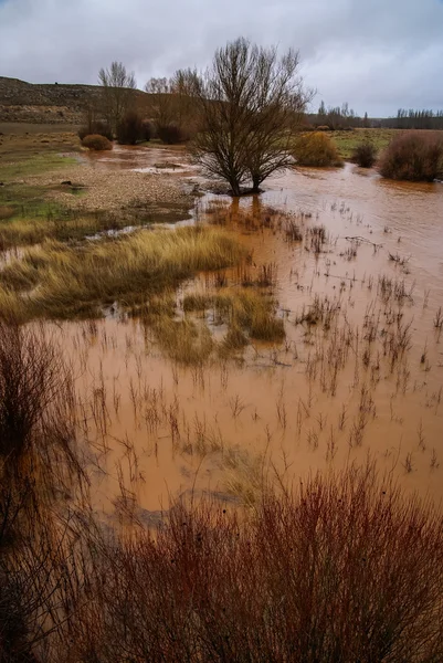 Oranžová barva vody v řece — Stock fotografie