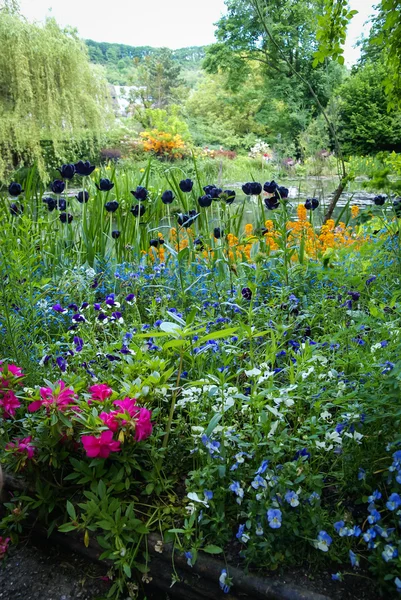 Jarní zahrady v Giverny — Stock fotografie