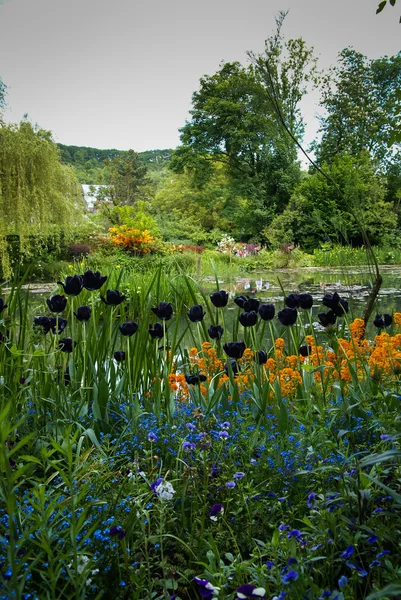 Jarní zahrady v Giverny — Stock fotografie