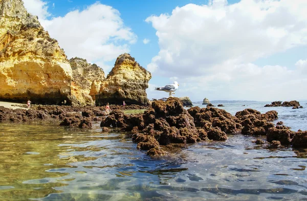 Malowniczej plaży w Lagos — Zdjęcie stockowe