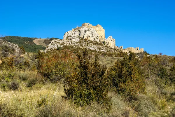 Loare castle on hill — Stock Photo, Image