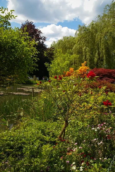 Giverny의 봄 정원 — 스톡 사진