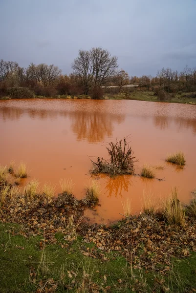 오렌지는 작은 호수에서 물 — 스톡 사진