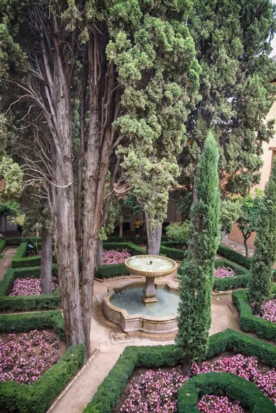 Bellissimo cortile con fiori in Patio — Foto Stock