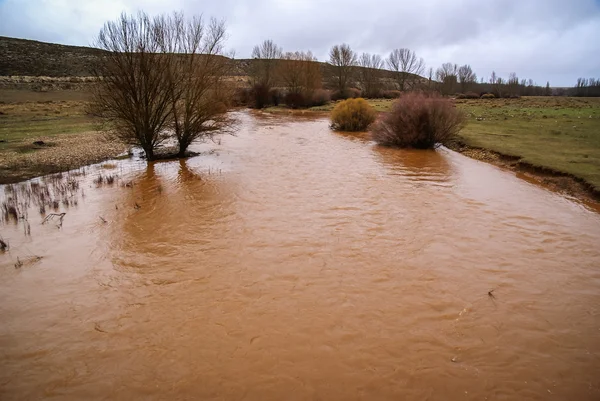 Orange color of the water in the river — Stock Photo, Image