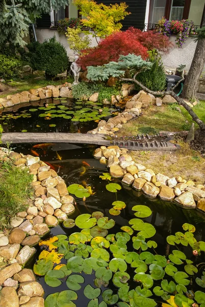 Petit jardin pittoresque avec un étang — Photo