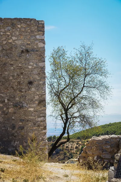 Moclin adlı bir kale kalıntıları — Stok fotoğraf