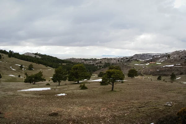 Maestrasgo anda kış — Stok fotoğraf