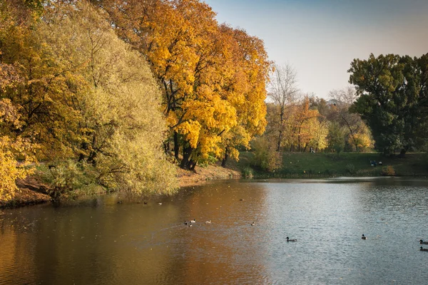 Mooie herfst park in Moskou — Stockfoto