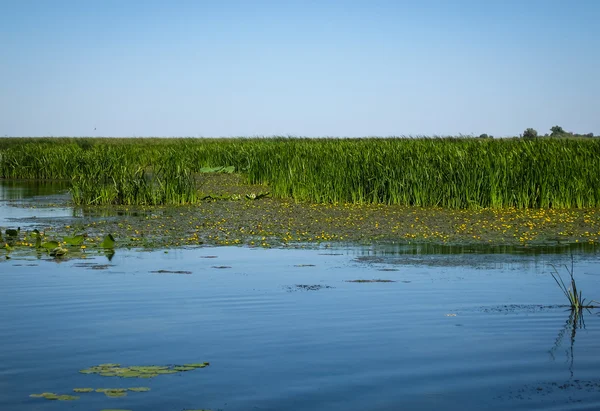 Landscape of central Russia — Stock Photo, Image