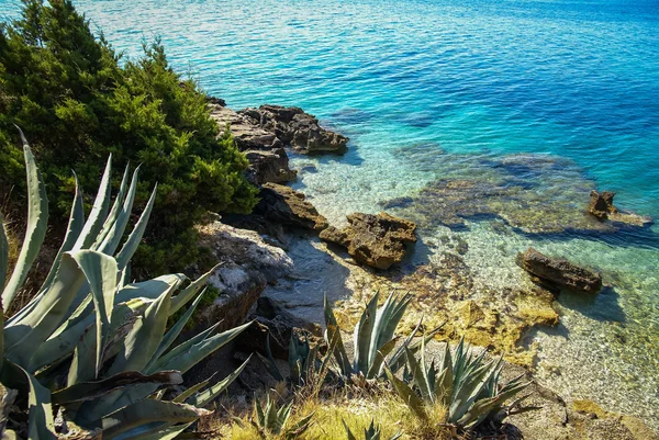 Picturesque Seashore of Brac island — Stock Photo, Image