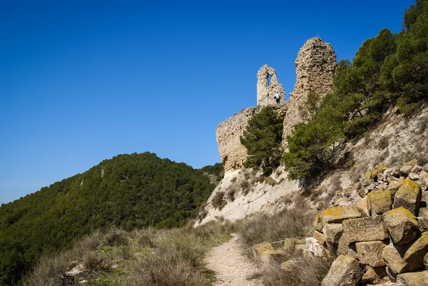 Ruines du château de Farfania — Photo