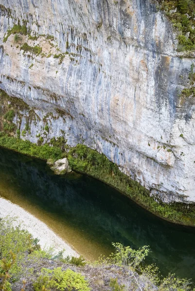 stock image Nature in Tarn gorge, France