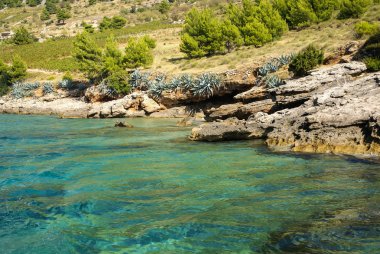 Pitoresk Seashore Brac Adası