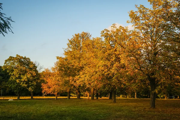 Ljusa hösten i Slovakien — Stockfoto