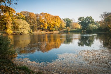 Moskova'da güzel sonbahar park