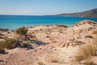 Elafonisos Beach'te tunahan