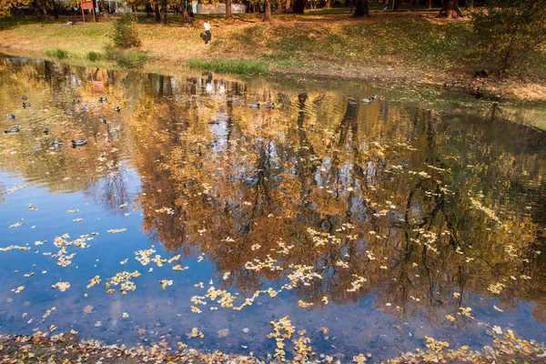 Herbst im Moskauer Park — Stockfoto