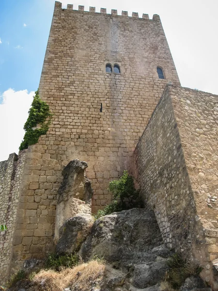 Castillo de la yedra — Stockfoto