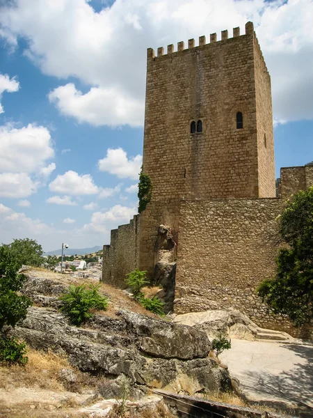 Castillo de la yedra — Stockfoto