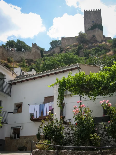 Castillo de la Yedra — Stock Fotó