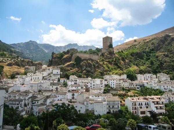 Castillo de la yedra — Stok Foto