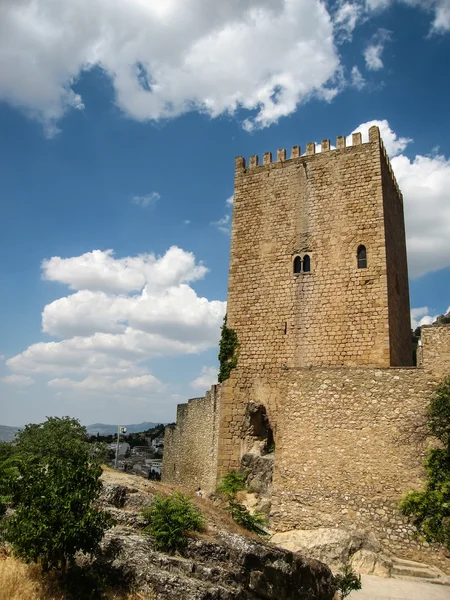 Castillo de la Yedra — Stok fotoğraf