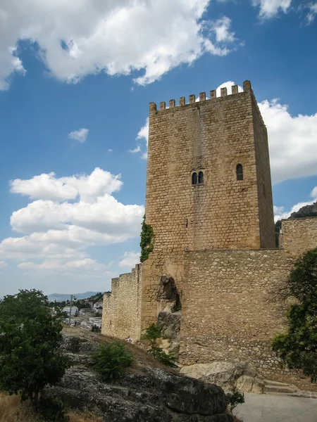 Castillo de la Yedra — Stock Photo, Image