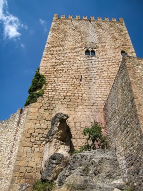Castillo de la Yedra