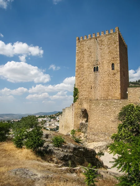 Castillo de la Yedra — стокове фото