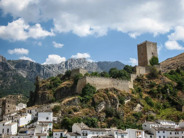 Castillo de la yedra — Stok Foto