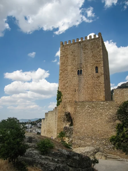 Castillo de la Yedra — Photo