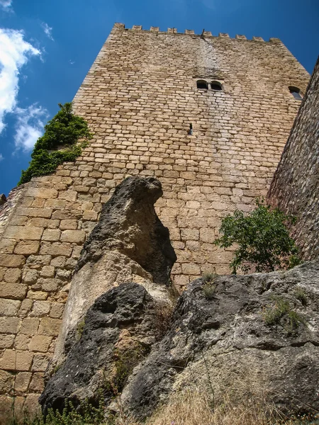 Castillo de la yedra — Stockfoto