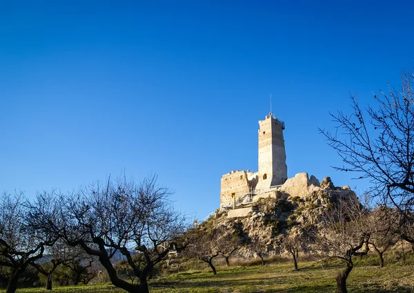 Rovine del castello di Beniloba — Foto Stock