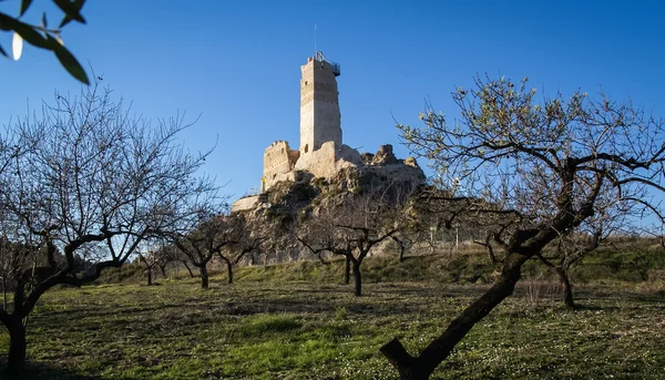 Ruinas del castillo de Beniloba — Foto de Stock