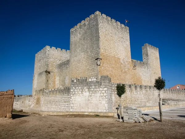 Kasteel op Encinas de Escuevo — Stockfoto