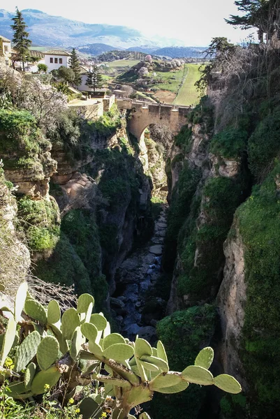 Ronda ciudad sobre acantilados — Foto de Stock