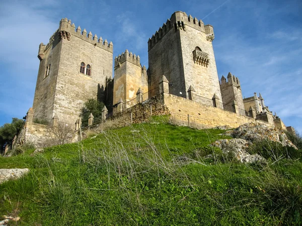 Castelo medieval em Almodovar del Rio — Fotografia de Stock