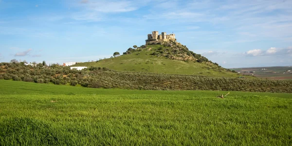 Castillo medieval en Almodovar del Rio — Foto de Stock