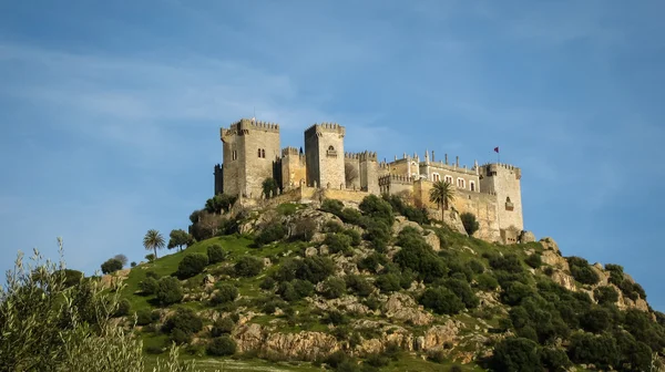 Castello medievale di Almodovar del Rio — Foto Stock