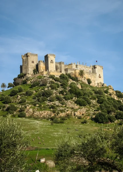 Almodovar del Rio, Ortaçağ Kalesi — Stok fotoğraf