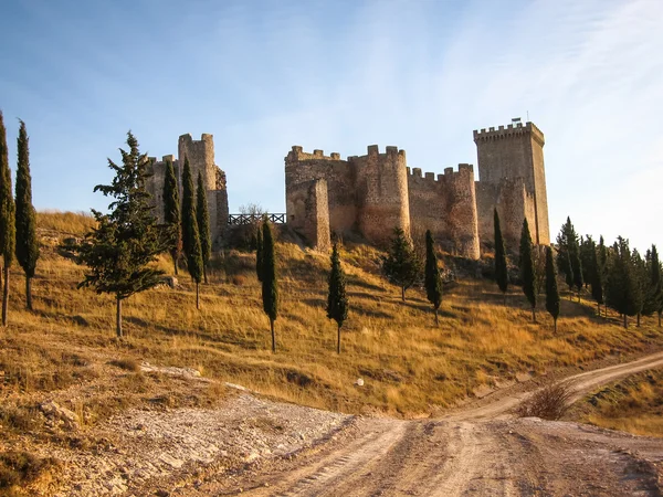 Peñaranda del Duero — Foto Stock