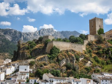 Castillo de la Yedra