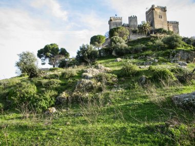 Almodovar del Rio, Ortaçağ Kalesi