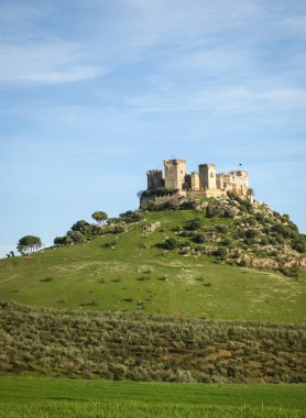 Almodovar del Rio, Ortaçağ Kalesi
